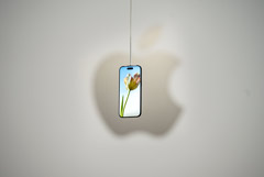 Apple увеличила квартальную выручку на 16%