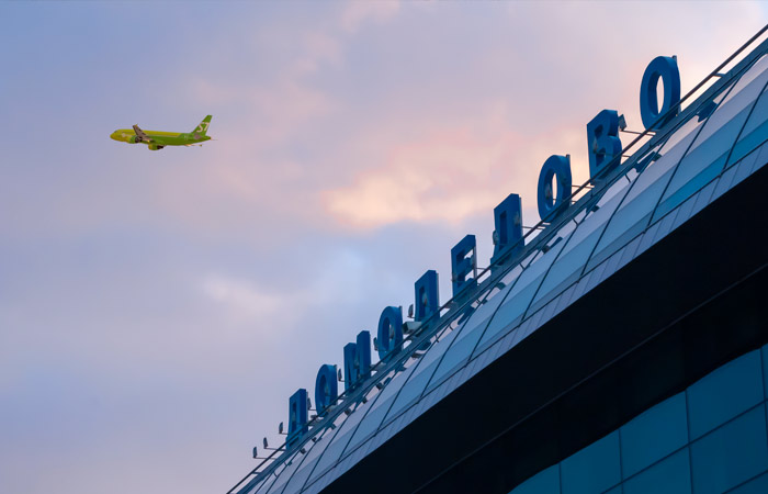 Верховный суд вернул жалобу Каменщика на решение передать "Домодедово" государству