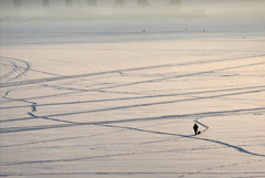 ����������� � ������������� ������� ���������� �� ����� 29 ��������