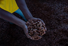 ���� �� �����-���� ���������� ���� $4000 �� ����� ������� � 2023 ����