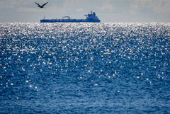 В ЕС предложили вместо "потолка цен" на нефть РФ запретить ее перевозку морем