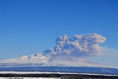 ���������� ������ ������� �������� ����������������� ����� �����