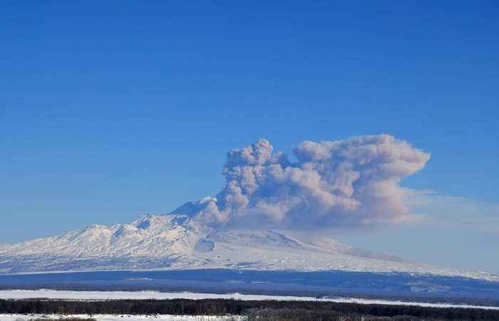 Камчатский вулкан Шивелуч выбросил шестикилометровый столб пепла