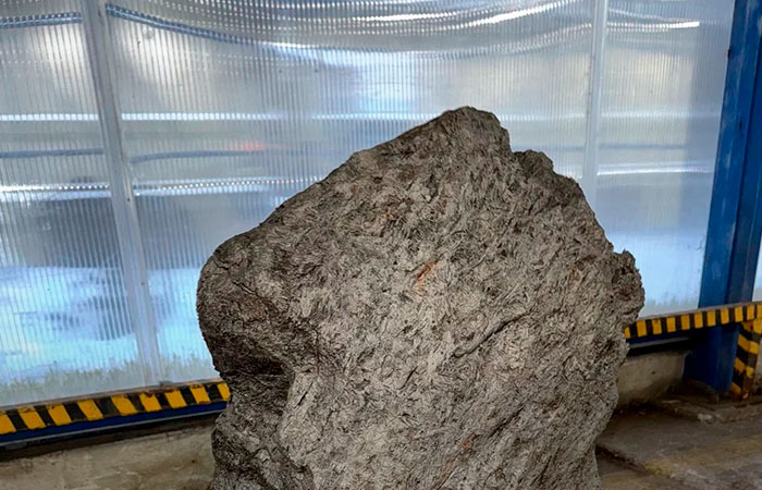 Таможня не дала вывезти из РФ осколок крупнейшего метеорита весом более 2,5 т