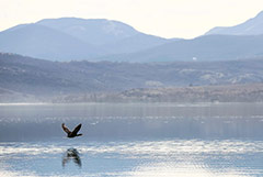 Крым накопил воды в водохранилищах в среднем на 320-340 суток