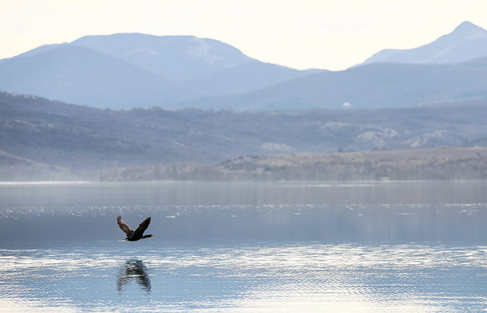 Крым накопил воды в водохранилищах в среднем на 320-340 суток