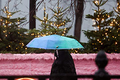 В Москве в пятницу возможен дождь