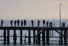 В Сочи будут выдавать российские паспорта жителям Абхазии