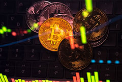 ���� �������� ���� ���� $67 �����