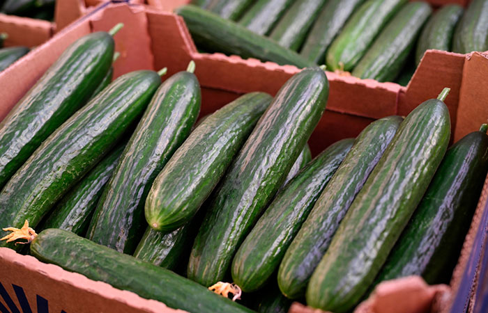 В России огурцы с 3 по 9 февраля подорожали на 5,2%