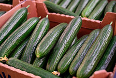 � ������ ������ � 3 �� 9 ������� ���������� �� 5,2%