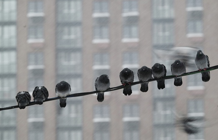 Похолодание ожидается в Москве в воскресенье