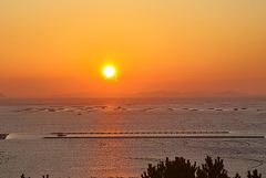 �� ����� �������� ��������� ����