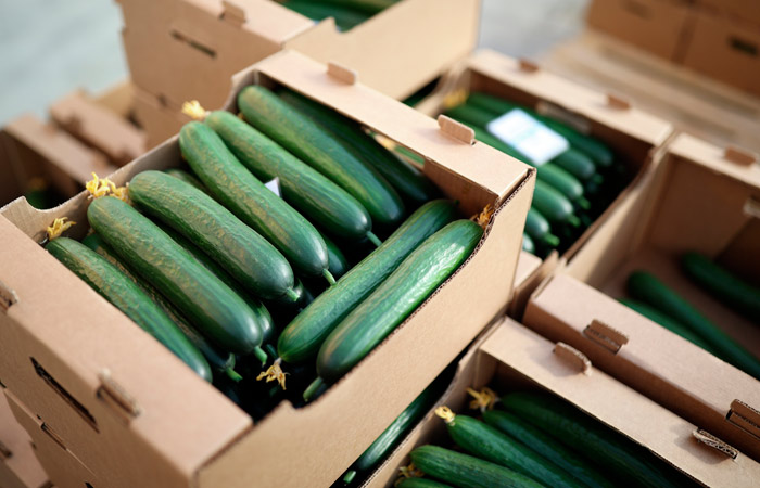 ФАС запросила торговые сети по поводу цен на огурцы
