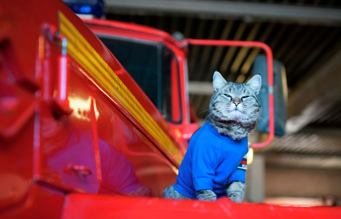 Минобороны пообещало направлять в пожарные части до 5 тысяч срочников в год