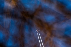 Аэропорт Ярославля возобновил работу