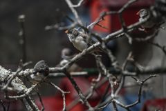 ��� ��������� � ���� �����. �������� ��������