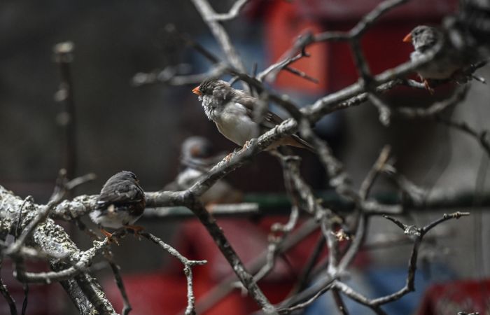 Что произошло в мире науки. Вечерний дайджест