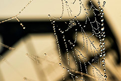 ЕК планирует в апреле представить предложение о запрете на импорт нефти из РФ