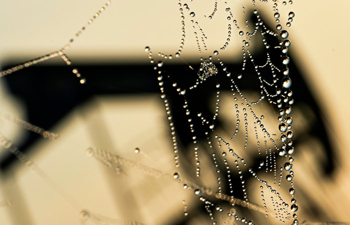 ЕК планирует в апреле представить предложение о запрете на импорт нефти из РФ