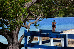 ������������ ���� �� ������������ ������������� ������� � ���������