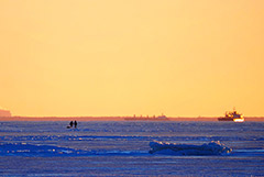 Минтранс назвал контролируемой ситуацию с судоходством в Финском заливе