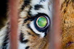 ����������� � ������� ������� �������� � ��������� ���������� �������