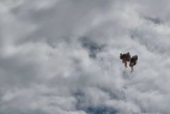 � �������, ��� � ������ ������ ������