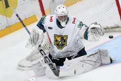 Матч КХЛ "Сочи" - "Торпедо" прерван из-за воздушной тревоги