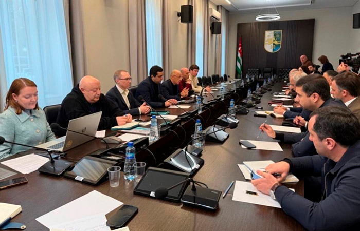 В парламенте Абхазии обсудили проект создания Национальной системы раскрытия корпоративной информации