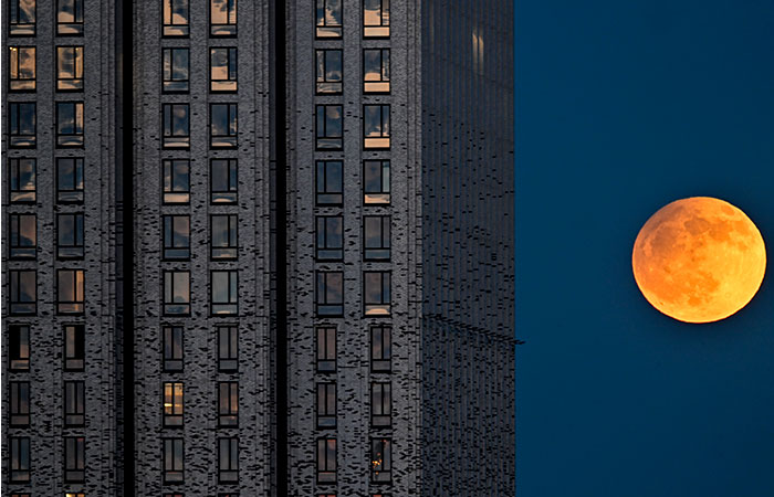 Что произошло в мире науки. Вечерний дайджест