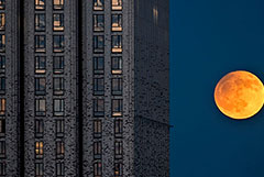 Что произошло в мире науки. Вечерний дайджест