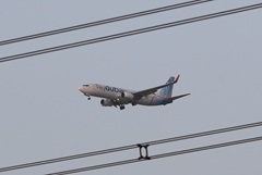 ���� �� ����� ������ � �����������