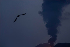 СМИ оценили потери военного оборудования США в ходе конфликта с Ираном почти в $2 млрд