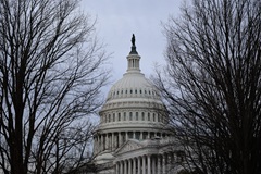 Сенат США отклонил резолюцию об ограничении военных полномочий Трампа