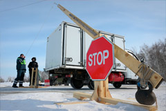 В Новосибирской области на помощь семьям, лишившимся скота, направили  80 млн рублей