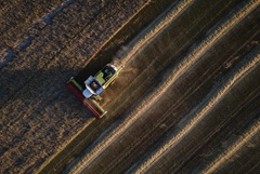 Пошлина на экспорт пшеницы из РФ с 18 марта составит 140,9 руб./т