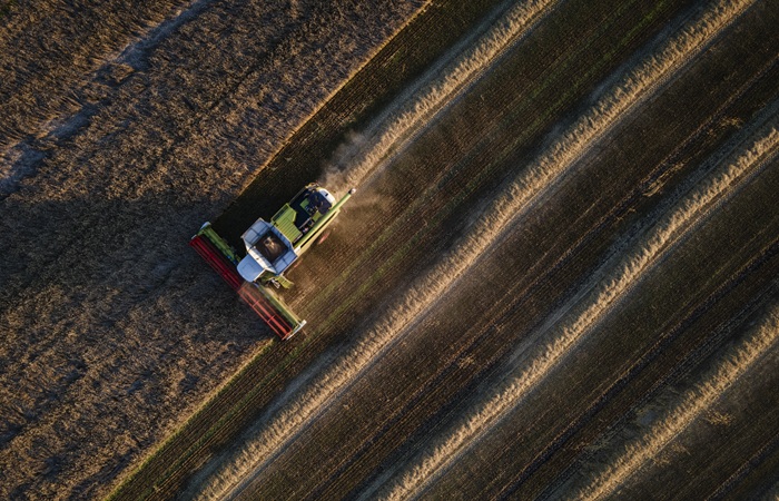 Пошлина на экспорт пшеницы из РФ с 18 марта составит 140,9 руб./т