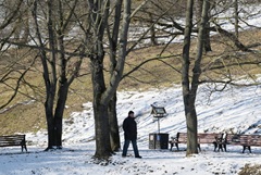 Снег в Москве в некоторых районах может сохраниться в начале апреля