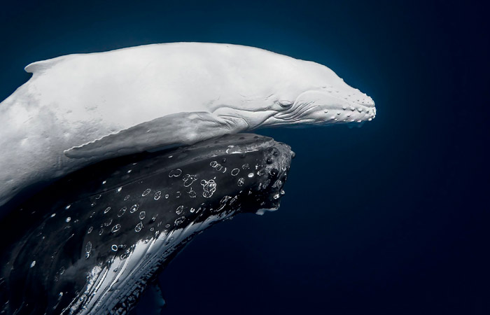 Что произошло в мире науки. Вечерний дайджест