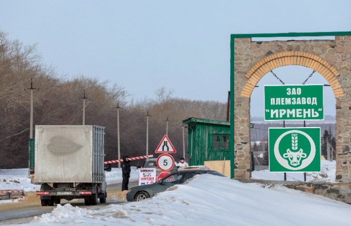 Пострадавшие от пастереллеза села в Новосибирской области получат допподдержку