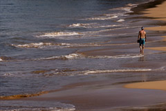 ������������ �� �������� ����� ������ �� ���������� ���� ��-�� ���������� �����