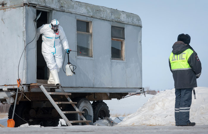Россельхознадзор заявил о ликвидации очагов пастереллеза в Новосибирской области