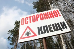 ��������� ������ � ������ � 2026 ���� �������������� ����� �������������� ��-�� ������� ����