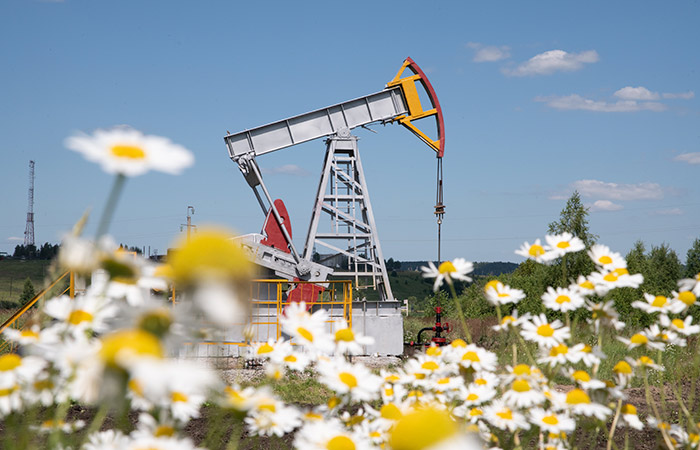 Власти в пятницу обсудят с нефтяниками вопрос возобновления запрета на экспорт бензина