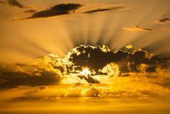 Крупный выброс плазмы происходит на Солнце