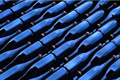 Что произошло в мире науки. Вечерний дайджест