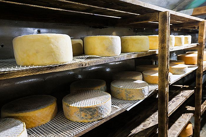 Россия в 2025 году обновила рекорд по экспорту сыров и творога