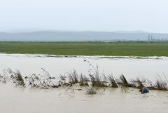 Ущерб сельскому хозяйству Дагестана от паводка предварительно оценили в 640 млн руб.