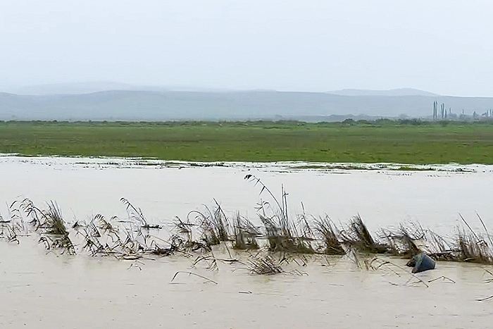 Ущерб сельскому хозяйству Дагестана от паводка предварительно оценили в 640 млн руб.